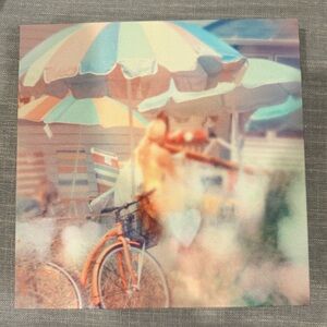 ❤️Vintage Beach Umbrella Bicycle Photo Canvas Wall Art